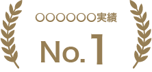 実績No.1